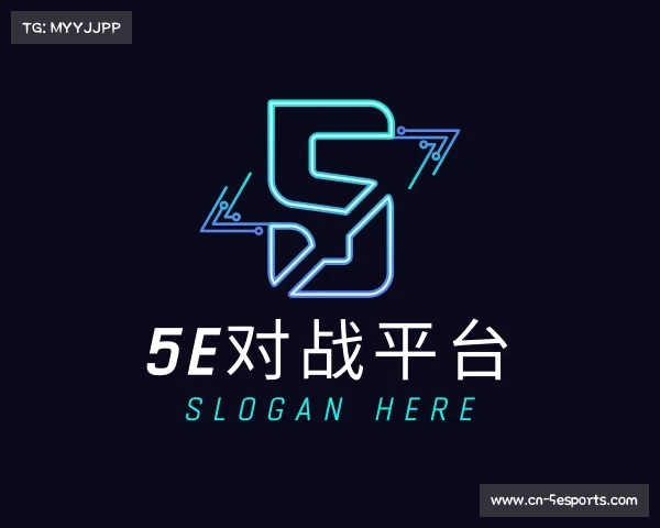 关于5e对战平台